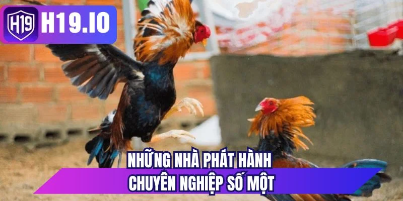 Những nhà phát hành chuyên nghiệp số một